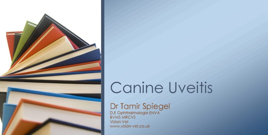 Canine-Uveitis-pdf