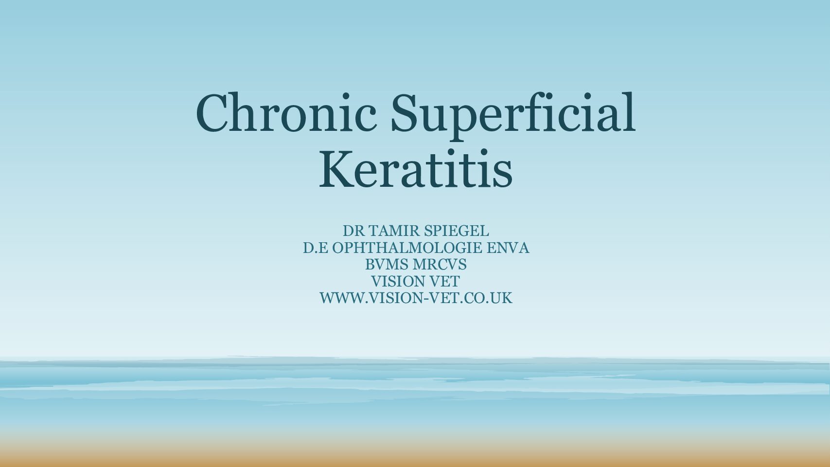 Chronic-Superficial-Keratitis-pdf