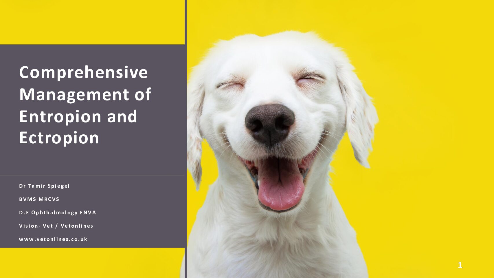 Comprehensive-Management-of-Entropion-and-Ectropion-pdf