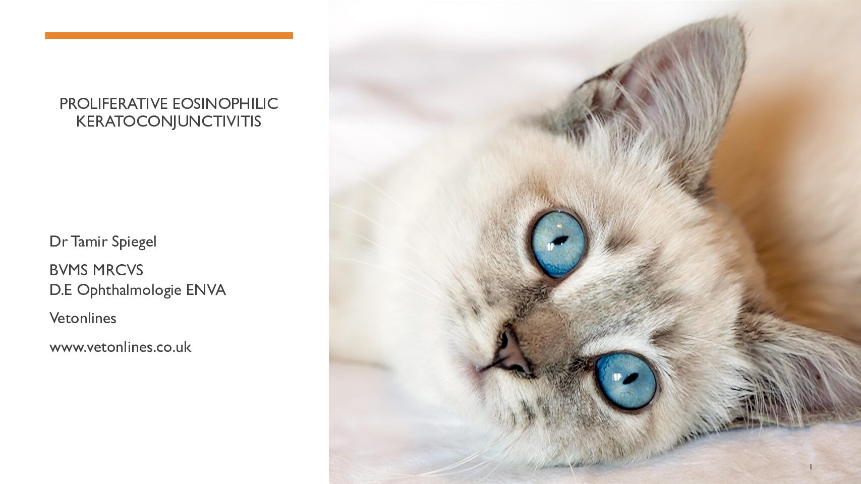 Proliferative-Eosinophilic-Keratoconjunctivitis-pdf