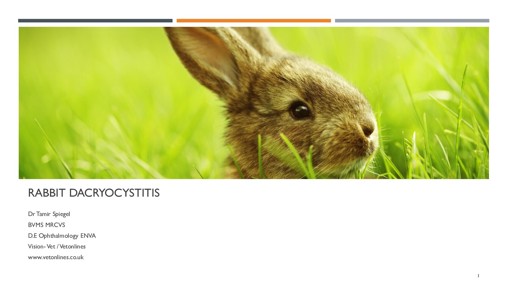 Rabbit-Dacryocystitis-pdf
