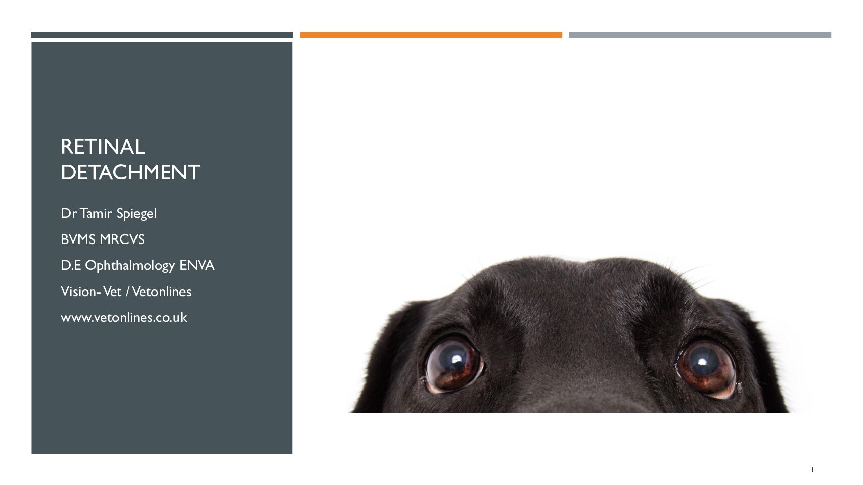 Retinal-detachment-pdf