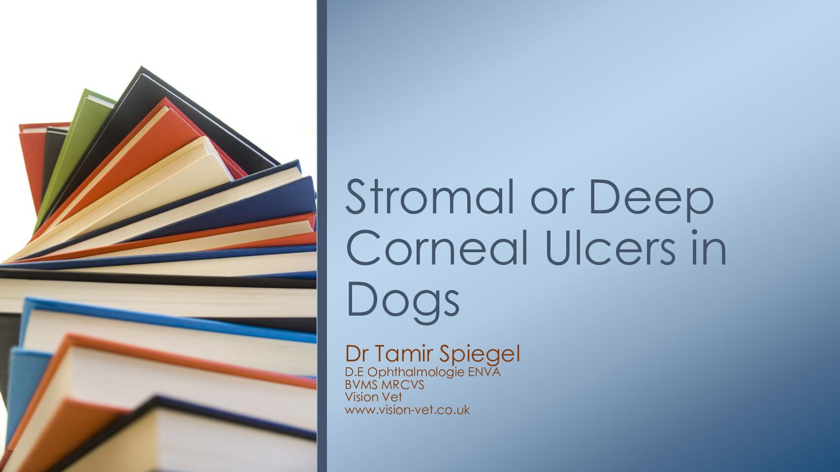 Stromal-or-Deep-Corneal-Ulcers-in-Dogs-pdf
